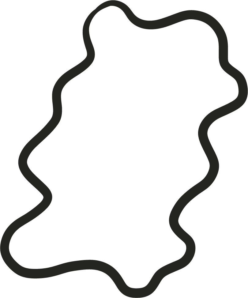 Dark Squiggle Accent