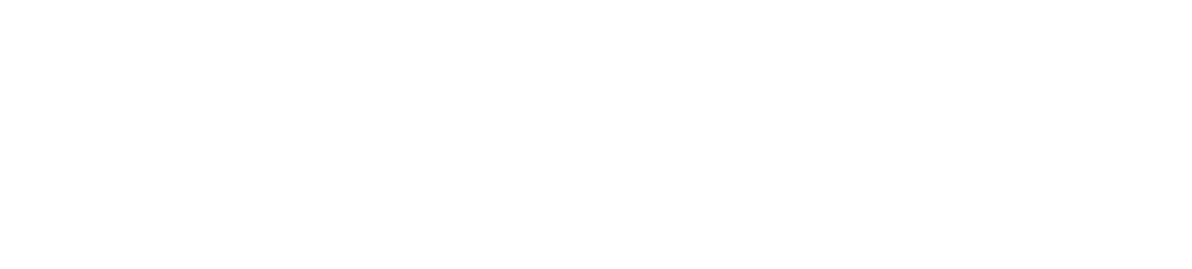 White Placez Logo